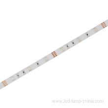 High Brightness 5050 RGB LED Strip Light